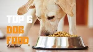 Life's abundance is not available at the common online pet food retailers like chewy or petflow and is instead sold directly on their website. Best Dog Food In 2019 Top 6 Dog Food Review Youtube