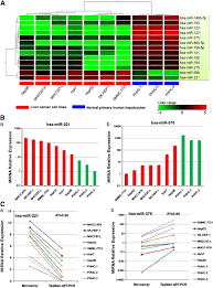 The second major category of liver cancer, metastatic liver cancer, is about 20 times as common in the united states as primary liver cancer. Microrna 375 Targets Aeg 1 In Hepatocellular Carcinoma And Suppresses Liver Cancer Cell Growth In Vitro And In Vivo Oncogene