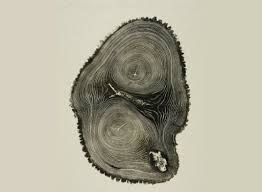 Woodcut by Bryan Nash Gill — Art/Photography Books -- Better Living Through  Design