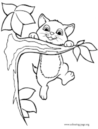 160 x 207 use the download button to find out the full image of calico cat coloring pages free, and download it for a computer. Pictures Of Kittens To Color Coloring Home
