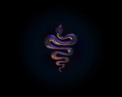 Iphone Snake Wallpapers Hd Desktop Backgrounds 1280 1024 Picture Of Snake Wallpapers 57 Wallpapers Adorable Wallpapers Fondos De Pantalla Plantas