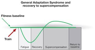 Gas And Recovery Chart En Don Heatrick Muay Thai Strength