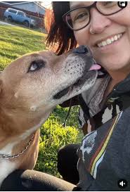 What dreadnought model should I use to seal my dog's ashes?