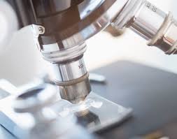 Image result for CSF Culture