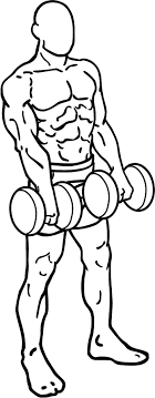 You must start with a. File Dumbbell Front Raises 2 2 Png Wikipedia
