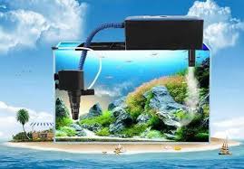 Harga filter media 12 in 1 penjernih air 500gr rumah bakteri aquarium. Filter Aquarium Air Tawar Yang Baik Dan Berukut Cara Memilih Serta Kerjanya Ikan Hias Air Tawar Laut Dan Aquarium