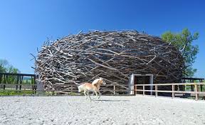 Průtahy v kauze čapí hnízdo. Unikatni Stavba V Podobe Capiho Hnizda Vevodi Statku Po Rekonstrukci Idnes Cz