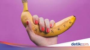 P dengan panjang 16 cm dan lingkar 12 cm. Siapa Saja Pemilik Mr P Paling Besar Di Dunia Data Ini Mengungkapnya