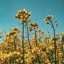 See more ideas about appetizers, appetizer recipes, cooking recipes. Therandomusings Therandomusings On Pinterest