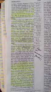 Will Our Pets Go To Heaven See What The Bible Says Dog Heaven Quotes Dog Heaven Dog Quotes