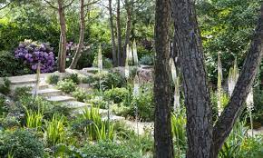 jardin agapanthe beaux jardins jardin contemporain jardins de vivaces