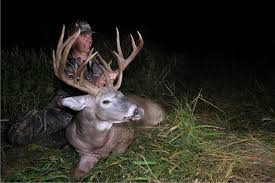 Do Deer Minerals Really Work To Grow Big Bucks And Large