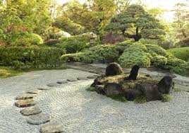 Disponiamo di un'enorme quantità di piante giapponesi importate di grande valore. Giardini Giapponesi E Giardini Zen A Bologna