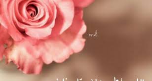 صور للواتس اب 2017 اجدد صور رمزيات الواتس ميكساتك rose plants flowers