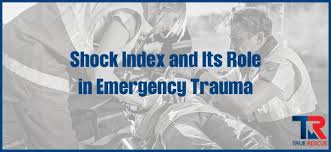 Image result for Shock Index