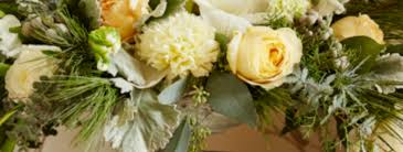 Check spelling or type a new query. Floral Trends For 2021 Winter Holidays Tessacorp
