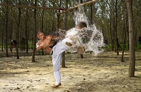 Iron Body Training Techniques Martial Arts Workout Shaolin Iron Body