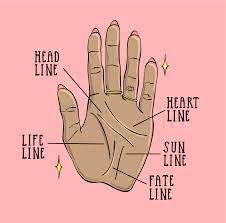 Maybe you would like to learn more about one of these? Palm Reading For Beginners How To Read Palm Lines Allure