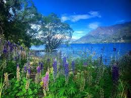 Weather for the week in queenstown, new zealand. What S The Weather In Queenstown Really Like Real Journeys