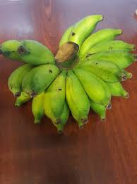 Padahal jelas berbeda, dari segi. Sri Batik Hotel Temerloh Pisang Emas Dibawa Belayar Masak Sebiji Di Atas Peti Hutang Emas Boleh Dibayar Hutang Budi Dibawa Mati Facebook