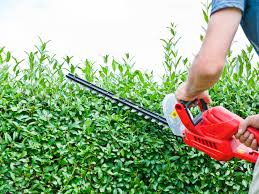 801 circle avenue forest park il 60130 service email: Aldi Releases Affordable Range Of Gardening Essentials