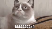 Grumpy kitty grumpy baby grump cat yup ohhh yeah cat jokes hilarious jokes cats humor funny humor. Grumpy Cat Gifs Tenor