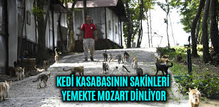 Medya Samsun