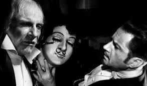 Catalogue saison XV.indd