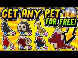 After submitting a request, please wait about 24 hours for our team to respond and tell you if we are able to deliver your pets. Free Pets In Adopt Me 2021 How To Get Free Pets In Adopt Me Youtube Pet Adoption Certificate Pet Dragon Adoption Take Advantage Of The Roblox Adopt Me Online Game
