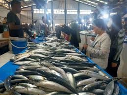 Harga Ikan Pasar