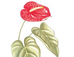 Ilustracao Botanica Pontilhismo On Behance Pintura aquarela arte em pintura ilustração botânica vintage jardim floresta arte sertaneja bananeiras flores coloridas belas criaturas fotografia da natureza. pontilhismo on behance