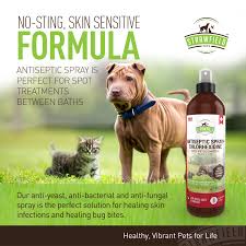 If the kindest souls were rewarded with the longest lives. Chlorhexidine Spray For Dogs Cats Ketoconazole Aloe 8 Oz Cat Dog Hot Spot Treatment Mange Ringworm Yeast Infection Itching Skin Relief Allergy Itch Acne Antibacterial Antifungal Usa Buy Online