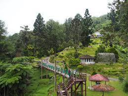 Maybe you would like to learn more about one of these? Bukit Larut Maxwell Hill Taiping Jeep Schedule Tickets Hiking Resorts 2020