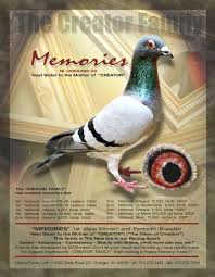 Ganus Family Lofts Pigeon Breeds Racing Pigeons Homing Pigeons