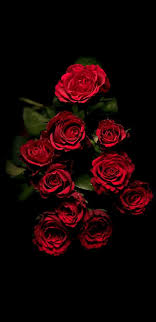 Find and download rose background on hipwallpaper. Black Red Rose Wallpaper Iphone Novocom Top