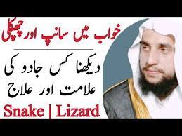 How Is Look Snake And Lizard In The Dream Khawab Ma Samap Or Chapklai Nazer Ana Black Magic Youtube Naat Video Embroidery And Stitching Black Magic