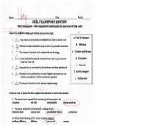 Cell Transport Review 2 Name Date Period Cell Transport Review Cell Transport Movement Of Molecules In And Out Of The Cell Match The Definition On The Course Hero