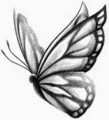 Cool Pinterest Finds Cool Pinterest Finds Butterfly Sketch Butterfly Tattoo Butterfly Drawing Download this free vector about simple butterfly drawing vector image, and discover more than 10 million professional graphic resources on freepik.