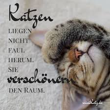 Zitate Und Spruche Katzen Liegen Nicht Faul Herum Minikatz Cat Breeds Cats Flea Shampoo For Cats
