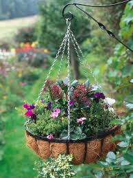 Maybe you would like to learn more about one of these? Plant A Winter Window Box Winter Hanging Baskets Hanging Flower Baskets Hanging Plants