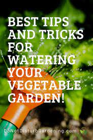 You get a wide range of vegetables, and they all require a different amount of water when watering the garden. Watering Your Garden When How Often And How Much Do Not Disturb Gardening Garden Fertilizer Vegetable Garden Vegetable Garden Tips