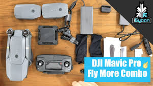 Dji mavic pro or platinum? Dji Mavic Pro Fly More Combo Unboxing And First Flight Video India Youtube