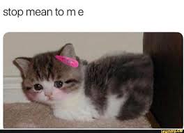 Stop Mean To M E Ifunny Cute Memes Baby Memes Funny Memes