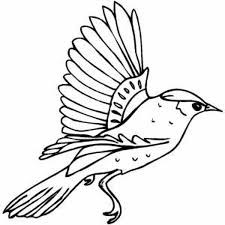 We did not find results for: Flying Parrot Coloring Pages Ptichki