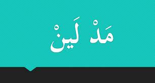 Apabila terdapat huruf mad (وْ / يْ) yang dibaca sukun dan terletak setelah harakat fathah dalam satu kalimat, maka disebut bacaan mad layyin. 100 Contoh Mad Layyin Beserta Suratnya Masudin Com