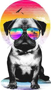 Download hd wallpapers for free on unsplash. 8 My Fye Wallpapers Ideas Hype Wallpaper Hypebeast Wallpaper Supreme Wallpaper