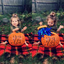 Pumpkin Gender Reveal Boy Gender Reveal Gender Reveal Pictures Gender Reveal Photography