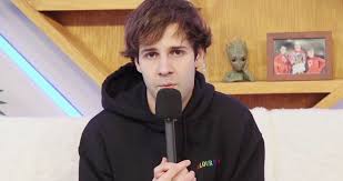 David dobrik (@daviddobrik) on tiktok | 1.1b likes. A Timeline Of The David Dobrik Allegations And Controversies