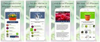 Auf planungswelten finden sie praktische 3d gartenplaner. Die Besten Apps Fur Garten Und Pflanzen