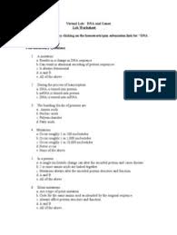 3 days ago · protein synthesis webquest worksheet answer key. Dna And Genes Lab Worksheet Genetic Code Nucleic Acid Sequence